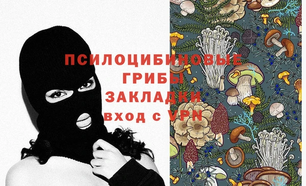 apvp Алексеевка
