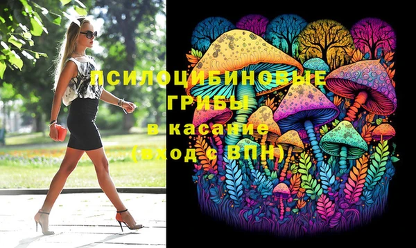 тгк Алексин