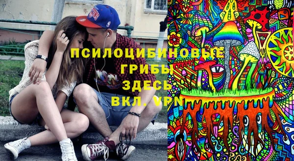 apvp Алексеевка